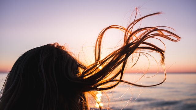 These wind quotes will render happiness.