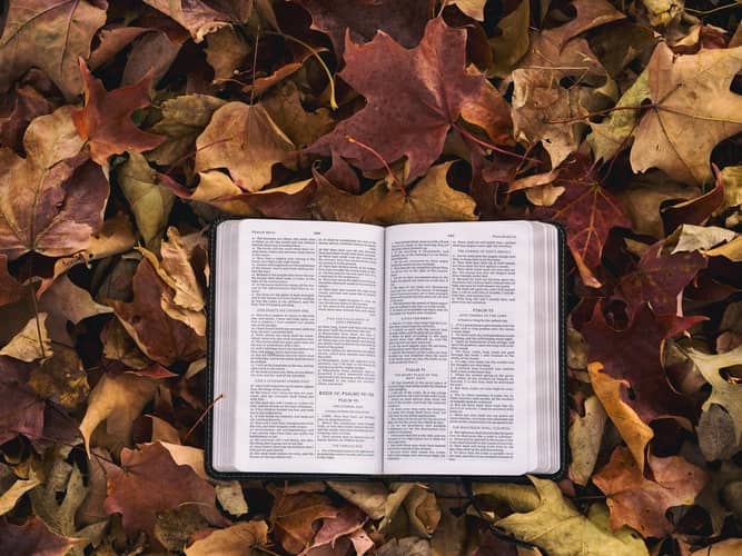 Quotes by Oswald Chambers get you closer to God.