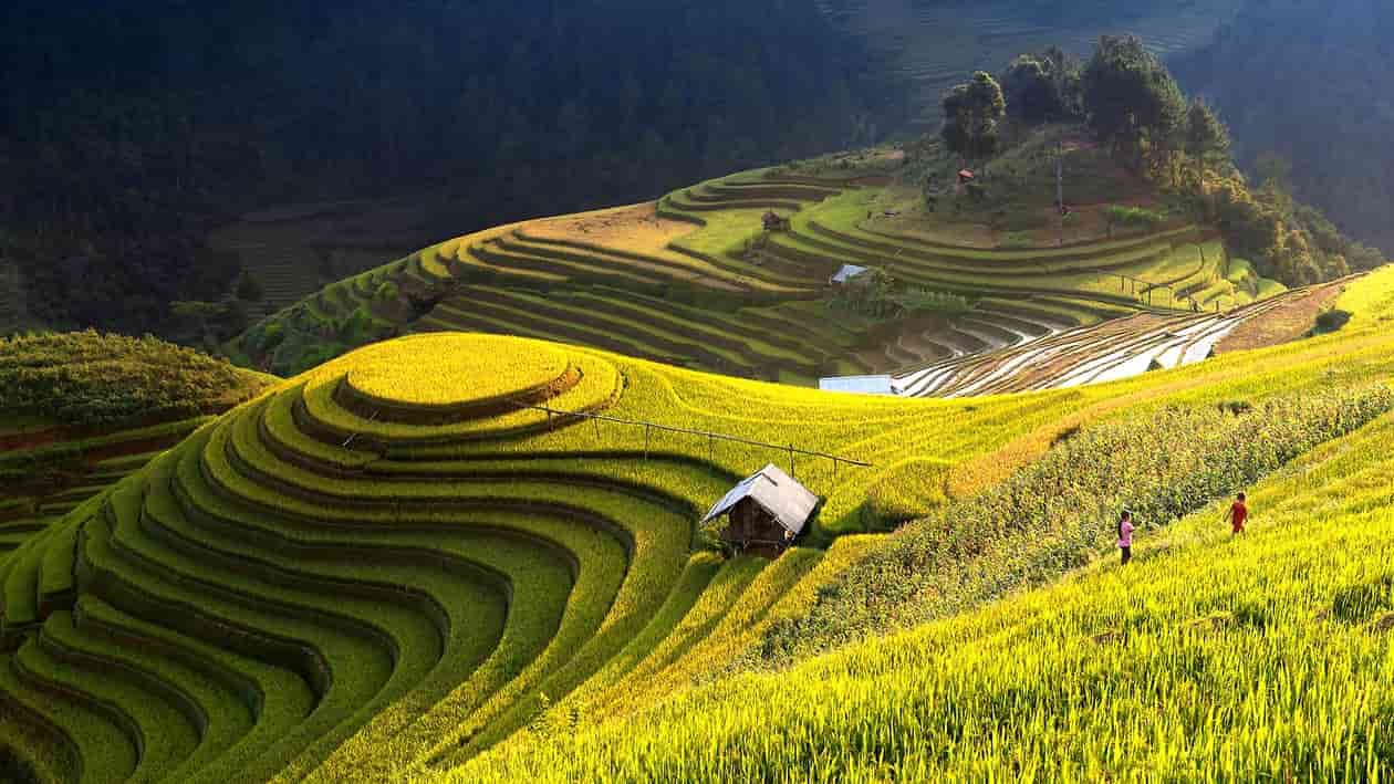 Nature landscapes are replenishing.