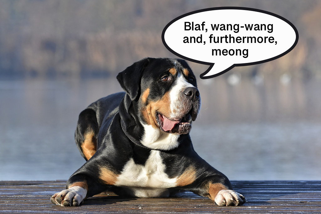 Dogs are one of the cutest beings and can be seen doing 'woof'.