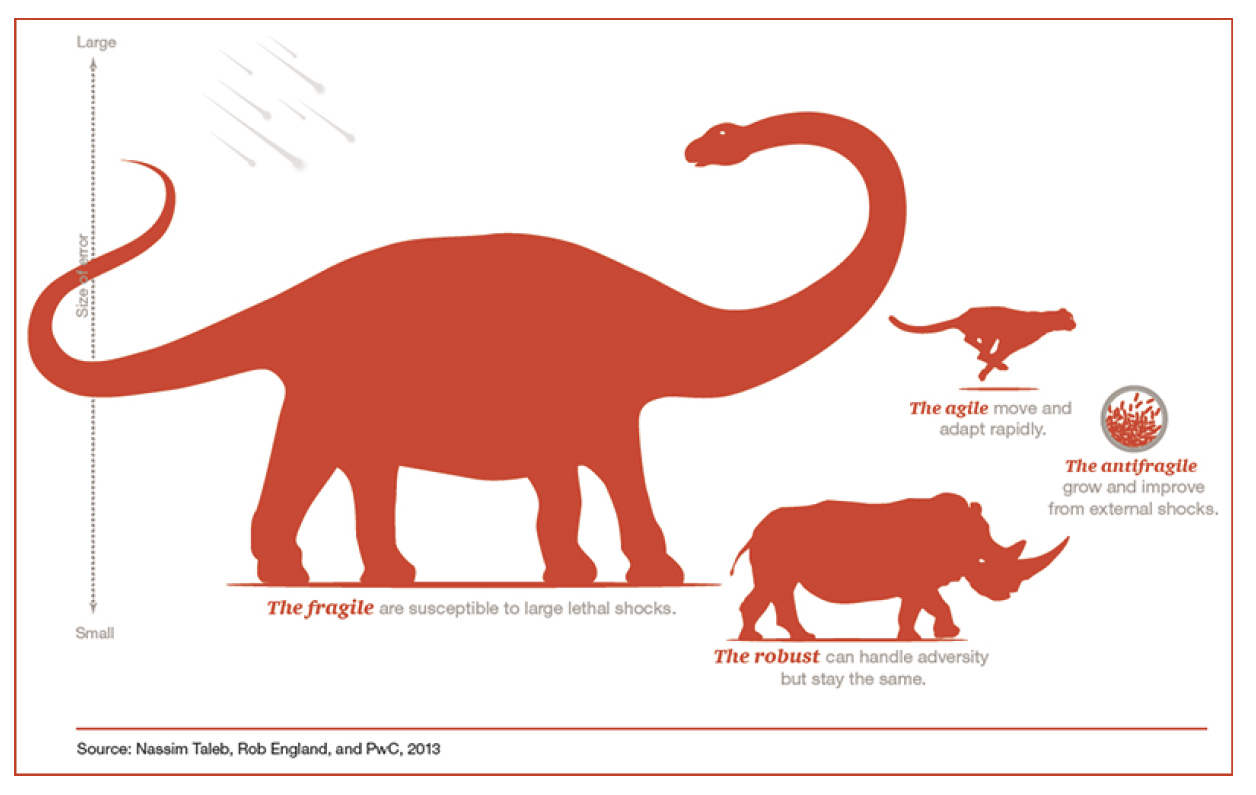 antifragile things that gain from disorder