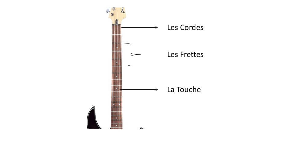 Anatomie guitare électrique manche