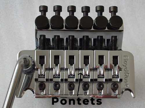 Pontets Floyr Rose