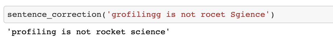 Norvig’s spelling corrector showing a sentence full of spelling errors corrected to “profiling is not rocket science”
