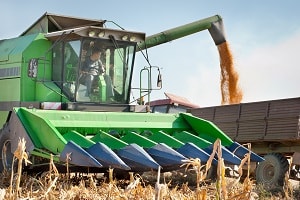 Agriculture