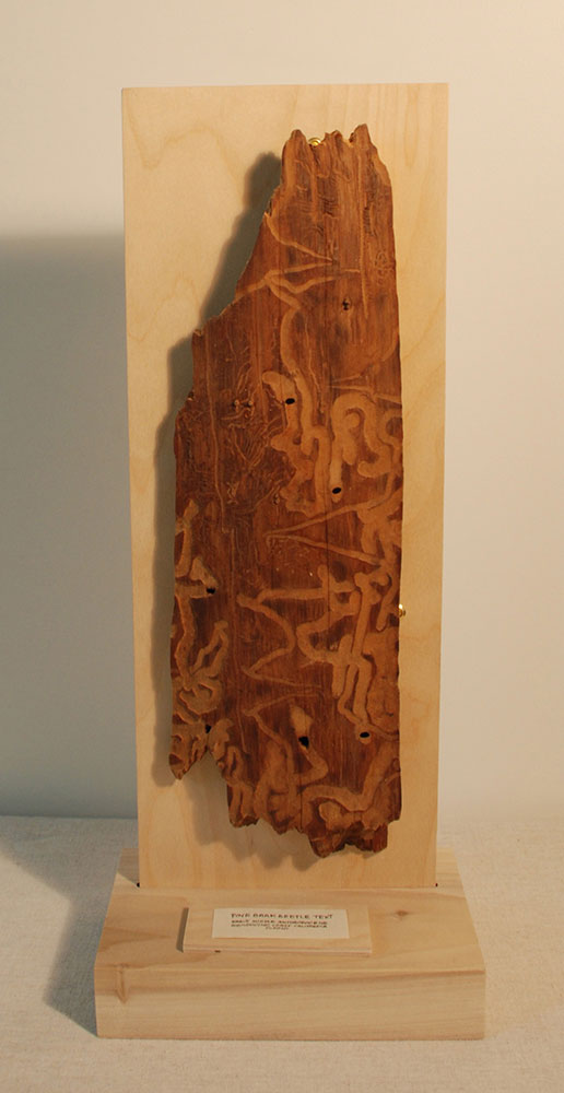 Featured From the Collection
