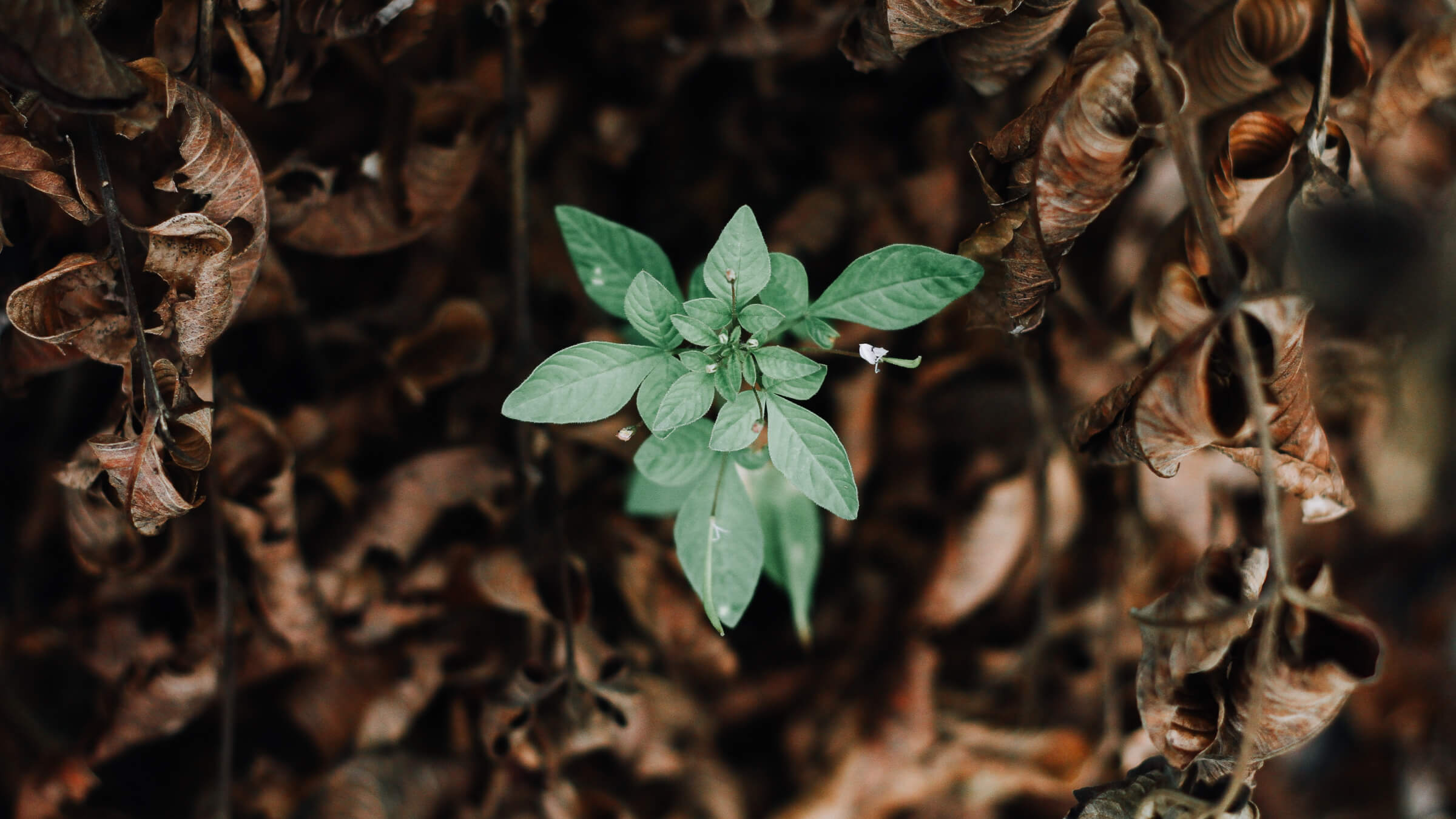 Scratchpad Secures 13 Million in Series A Funding to Bring