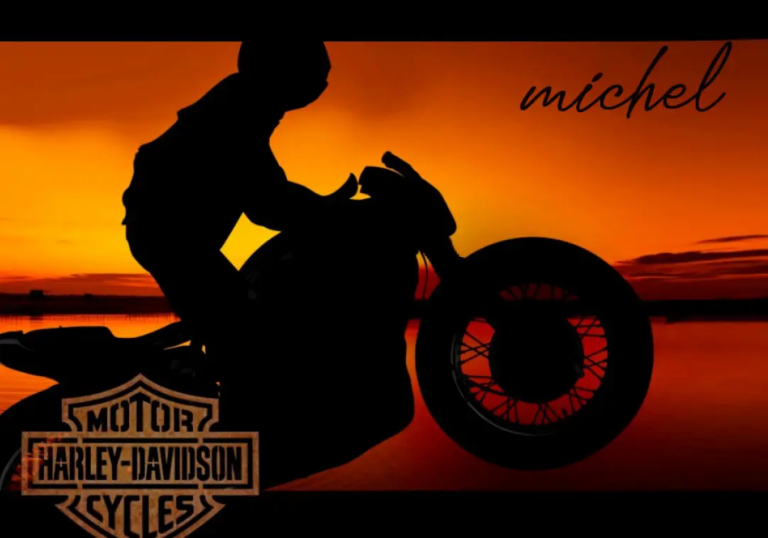 Michel von Tell riding the LiveWire EV at Sunset