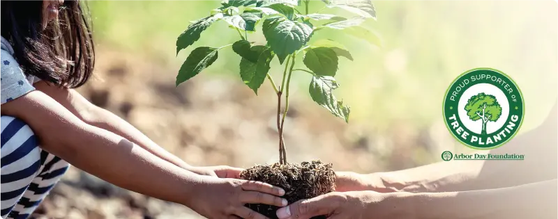 Arbor ay Foundation giving tree