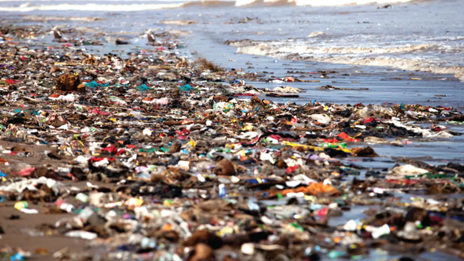 piles of garbage littering a beach