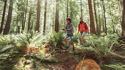 two people hiking through the forest