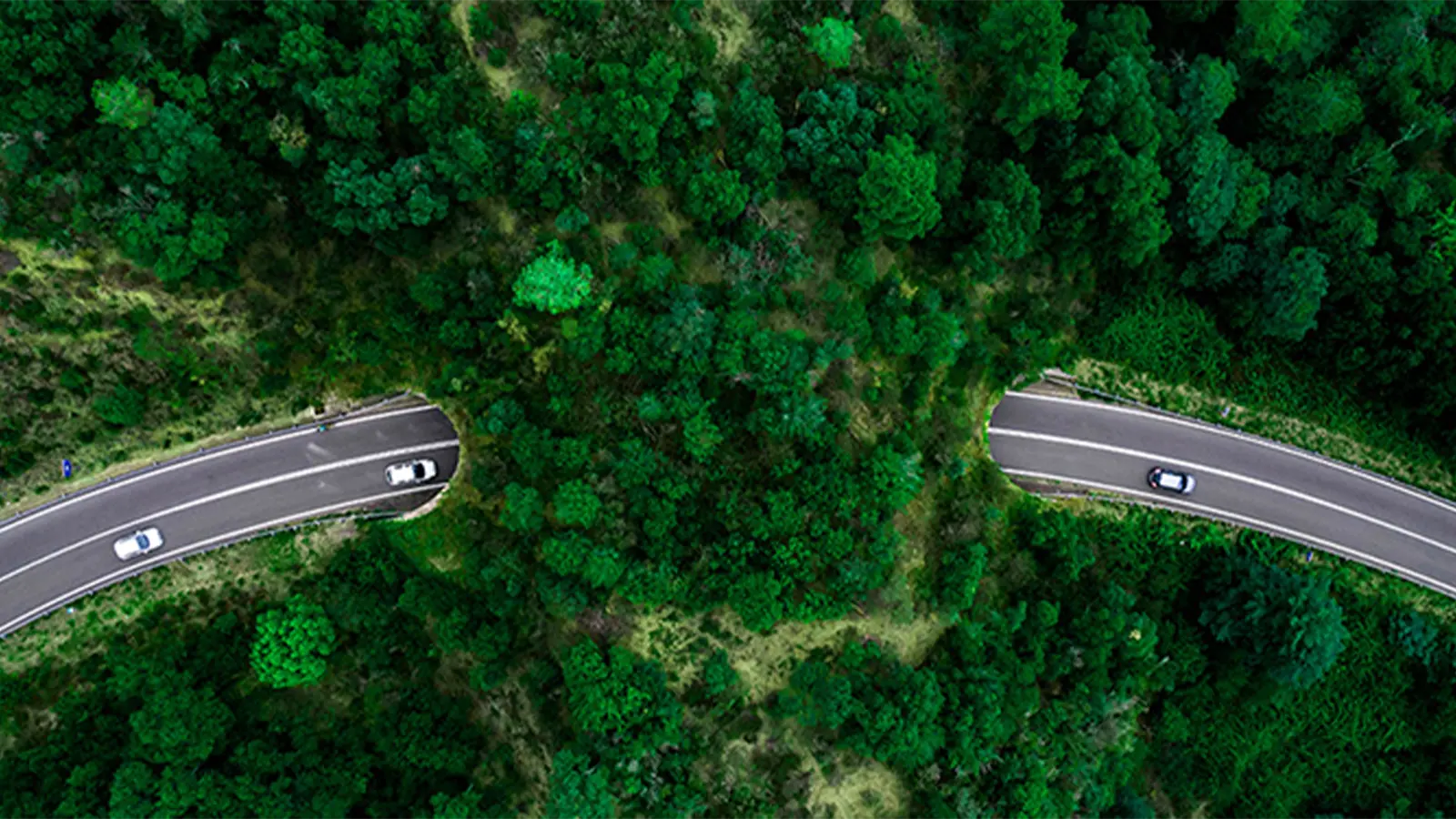 Top-down view of curved road with cars on it, lots of greenery