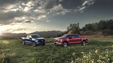 Two Ford F150's in a Field