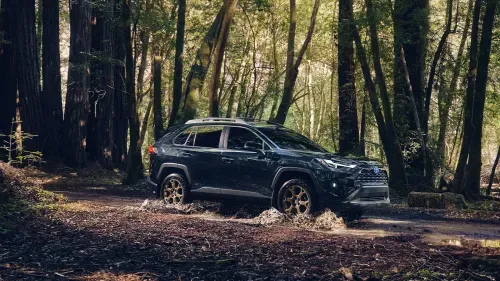 Toyota Rav4 Hybrid driving through the woods