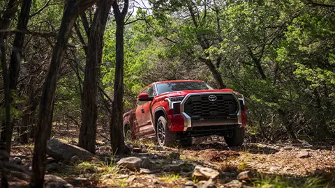 Toyota Tundra driving through forest