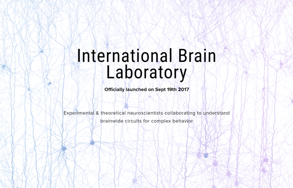 Blog - 7 Major Developments in Neuroscience of 2017