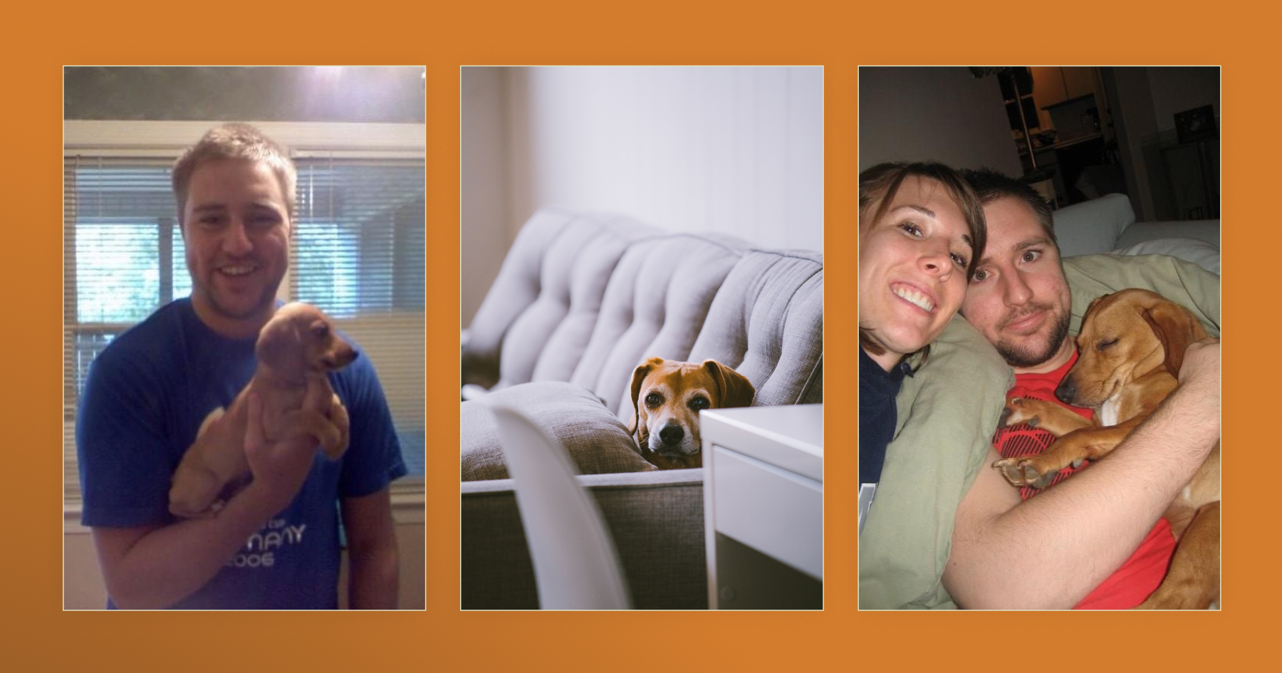 Our sweet dog Chainsaw