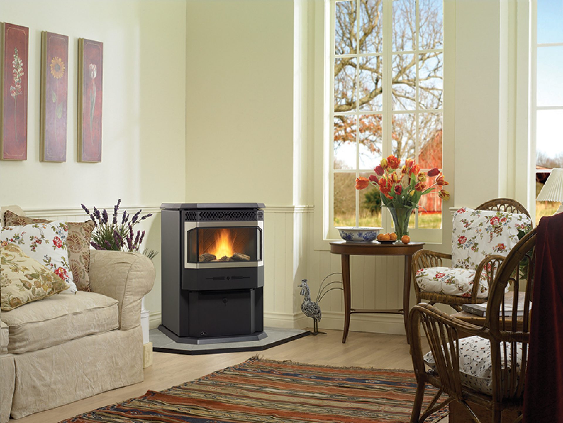 Lake Champlain Pools GF55 Pellet Stove