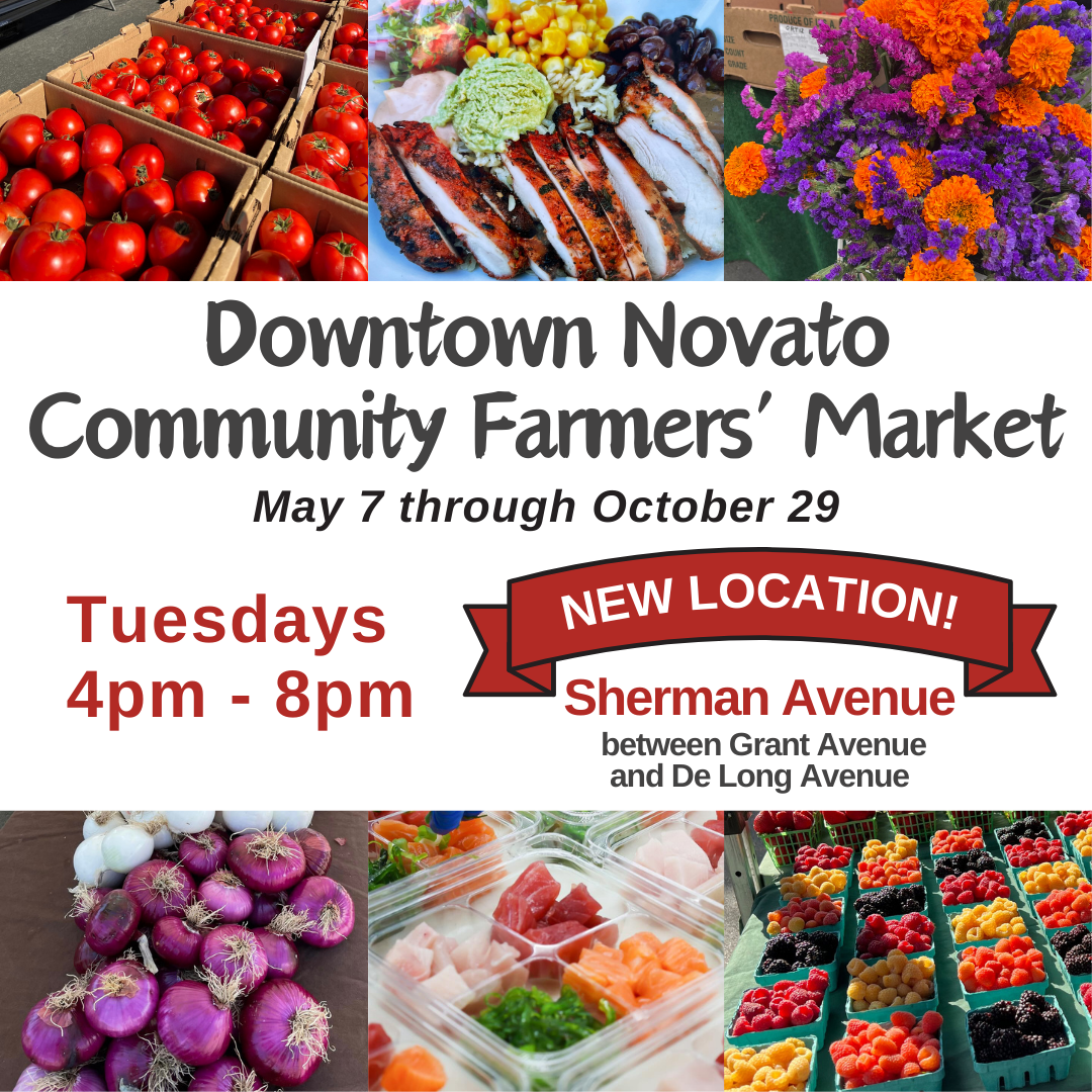 Patio Dining in Marin Marin Dish