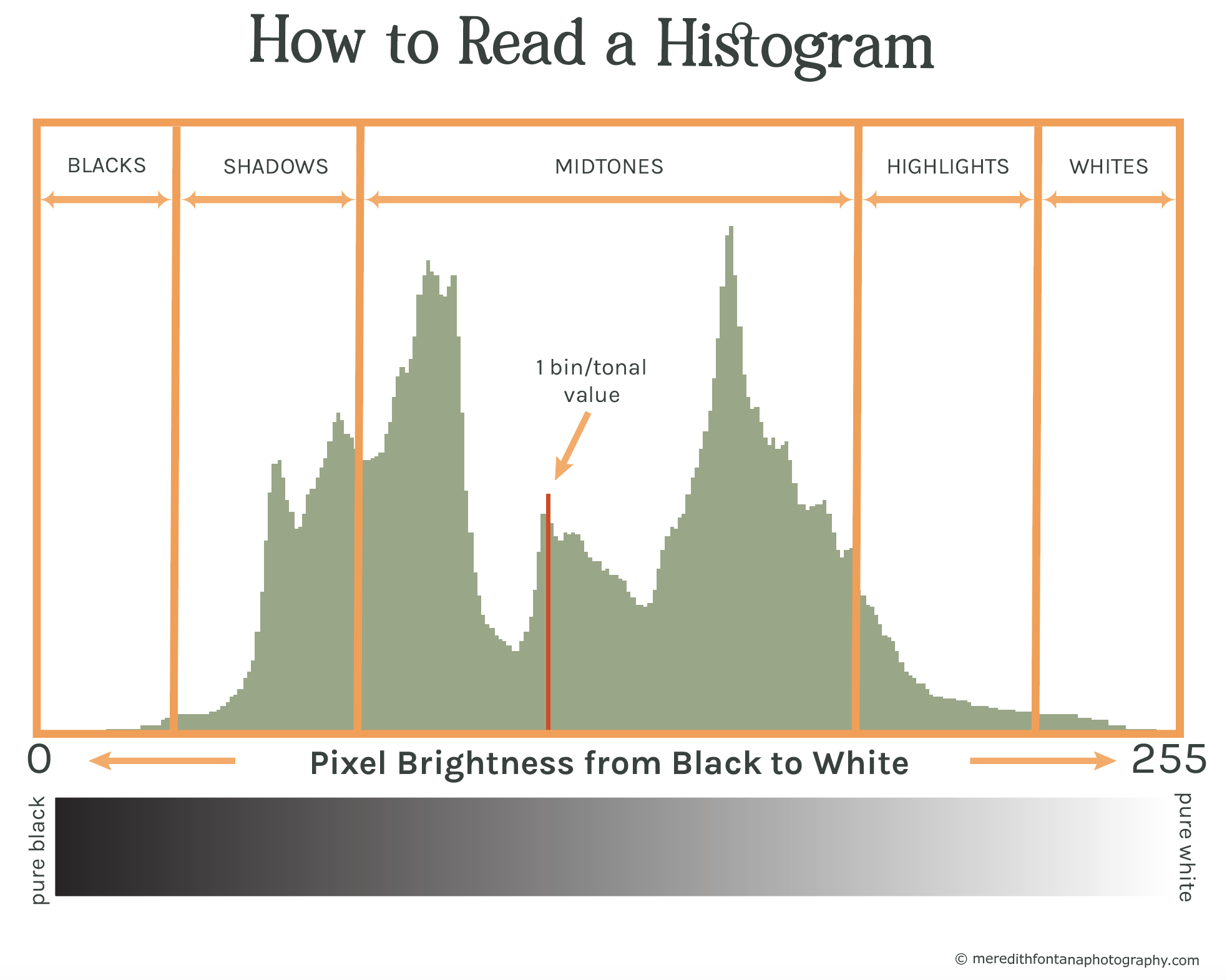 Diagram showing how a photographic histogram is read.