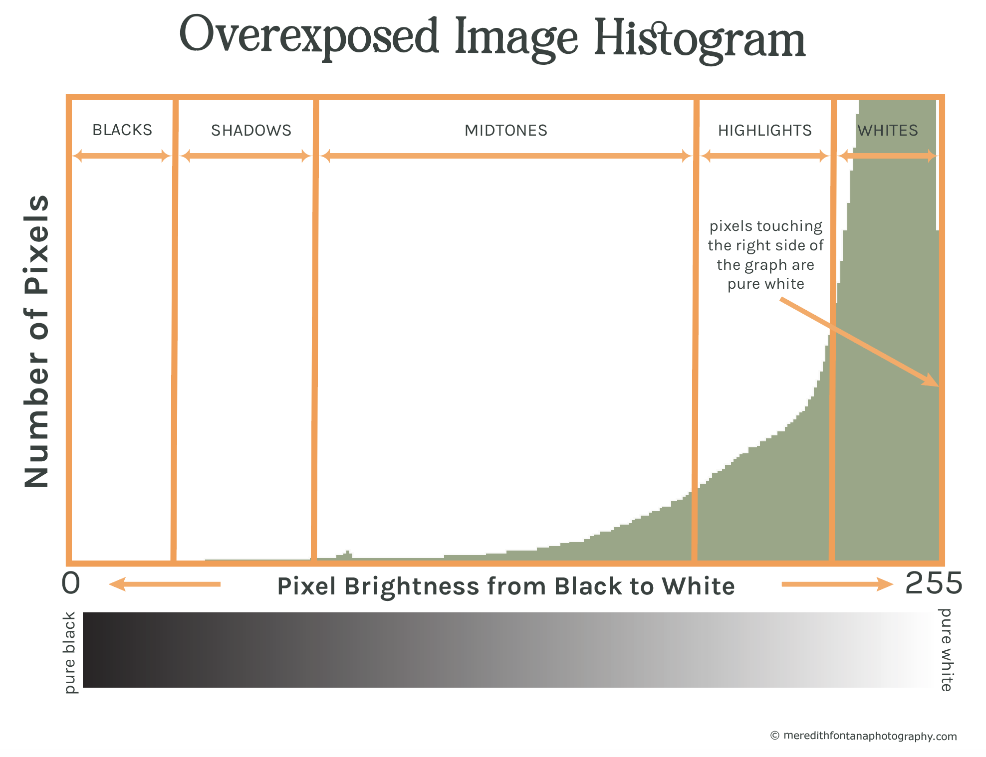 Overexposed image histogram.