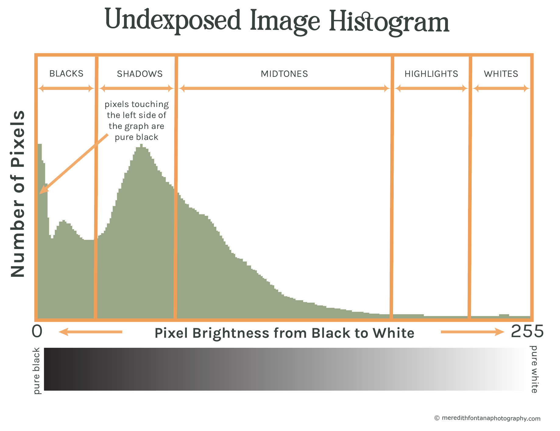 Underexposed image histogram.