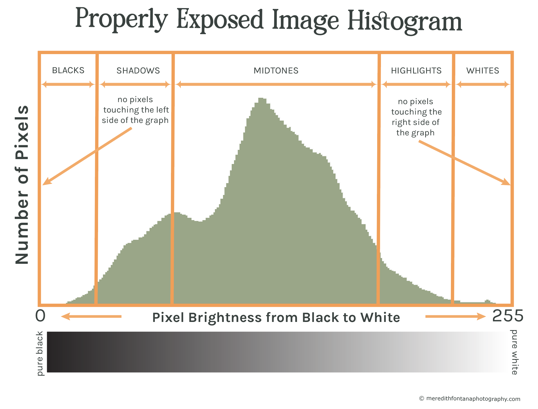 Properly exposed image histogram.