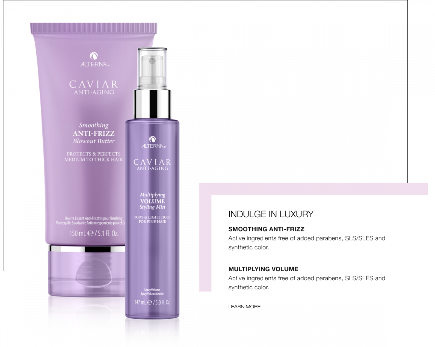 Alterna Case Study Image 1