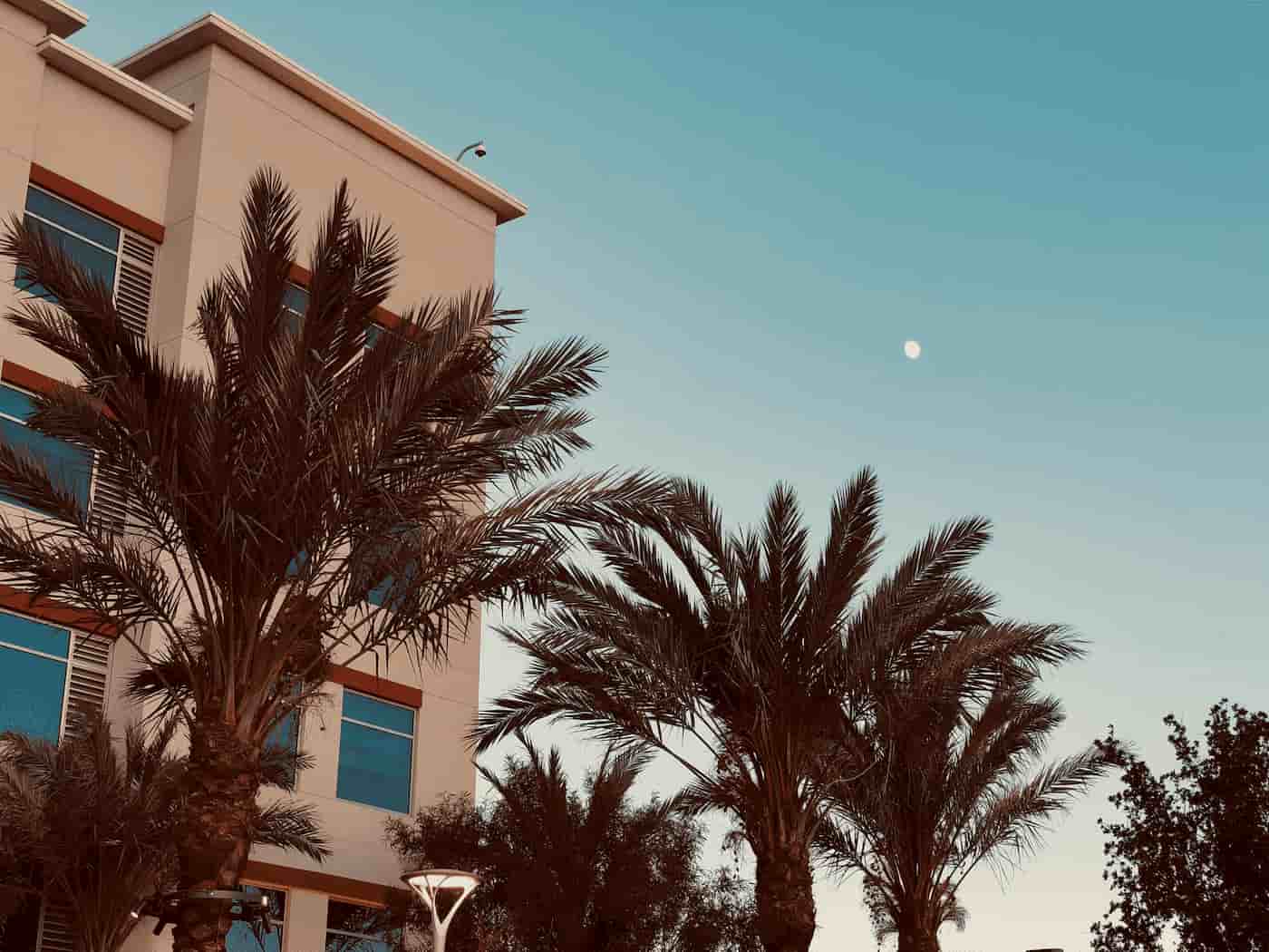 Residential real estate properties in Las Vegas, NV, great for investing!