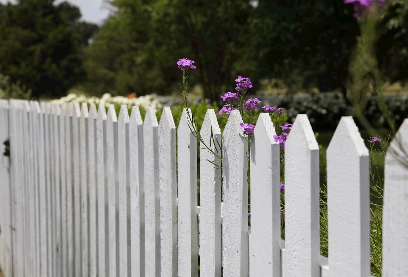 Fencing can be a visual indicator of how you take care of your rental property.