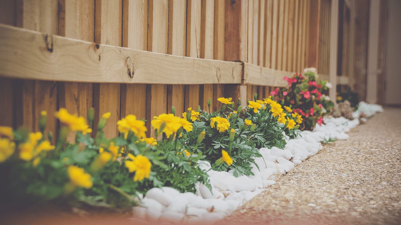 Landscaping Reno rental properties