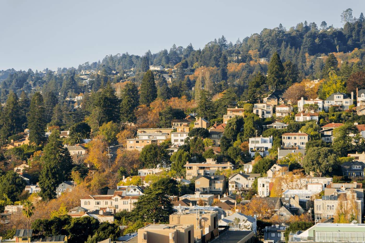 East Bay Area- Haywrd, CA Rental properties