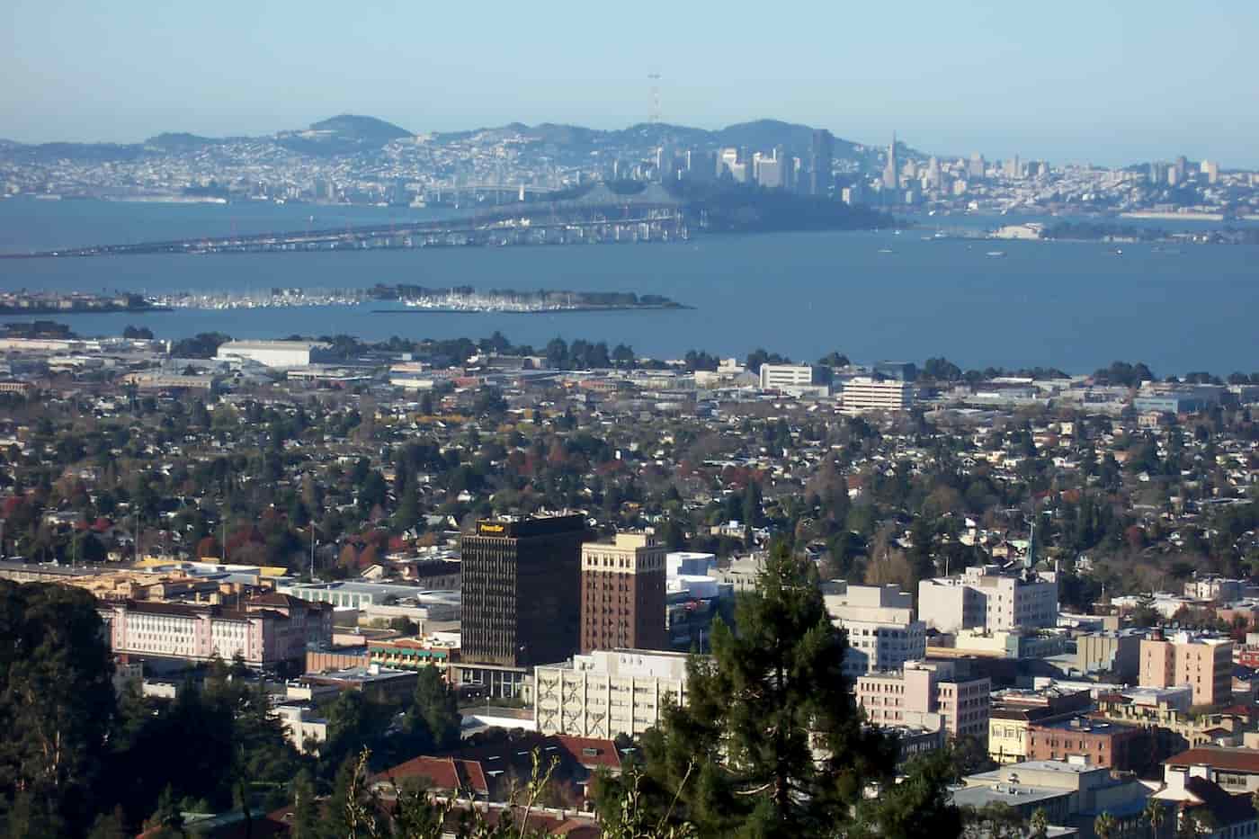 berkeley property owners cheat sheet