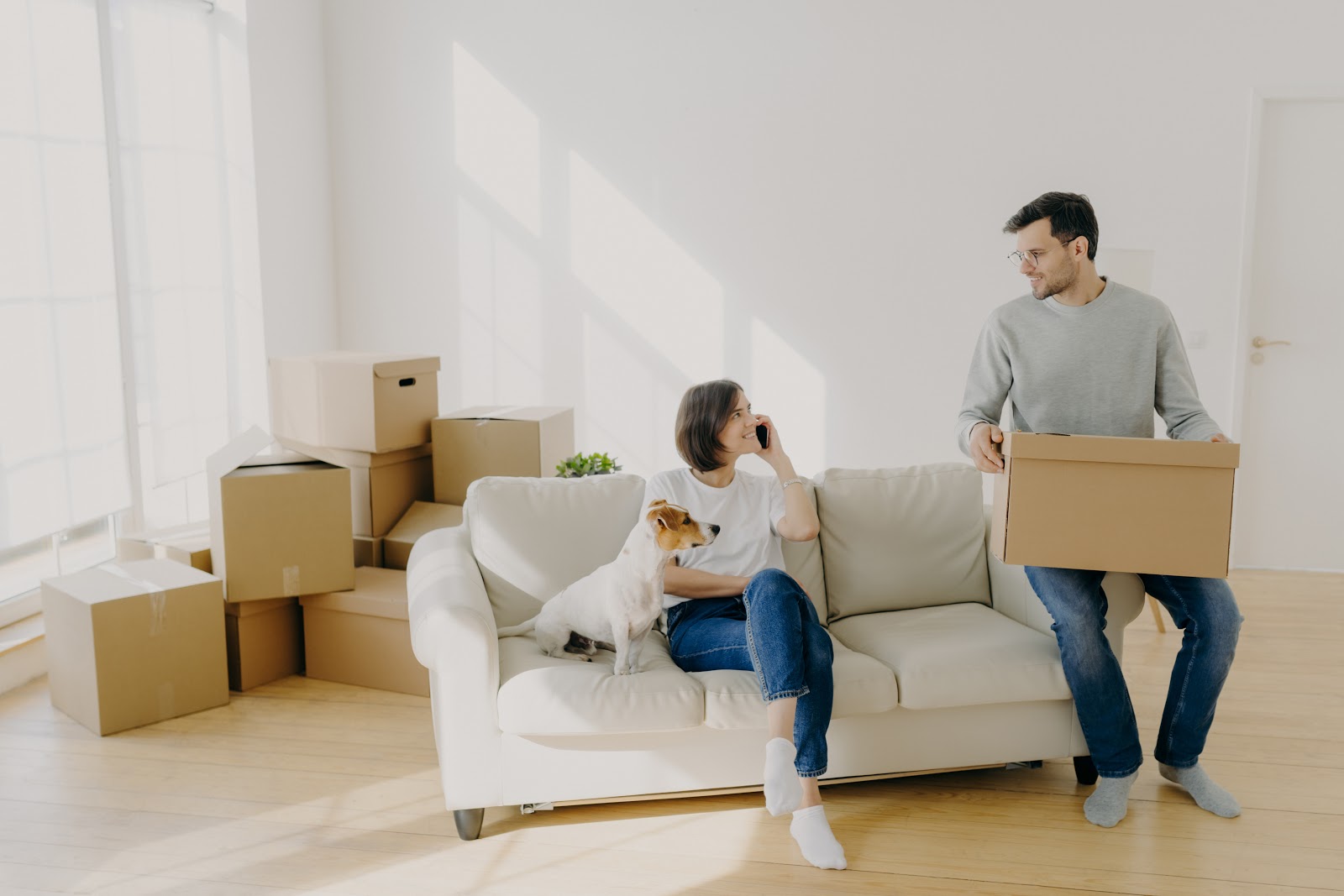 rental housing and pets