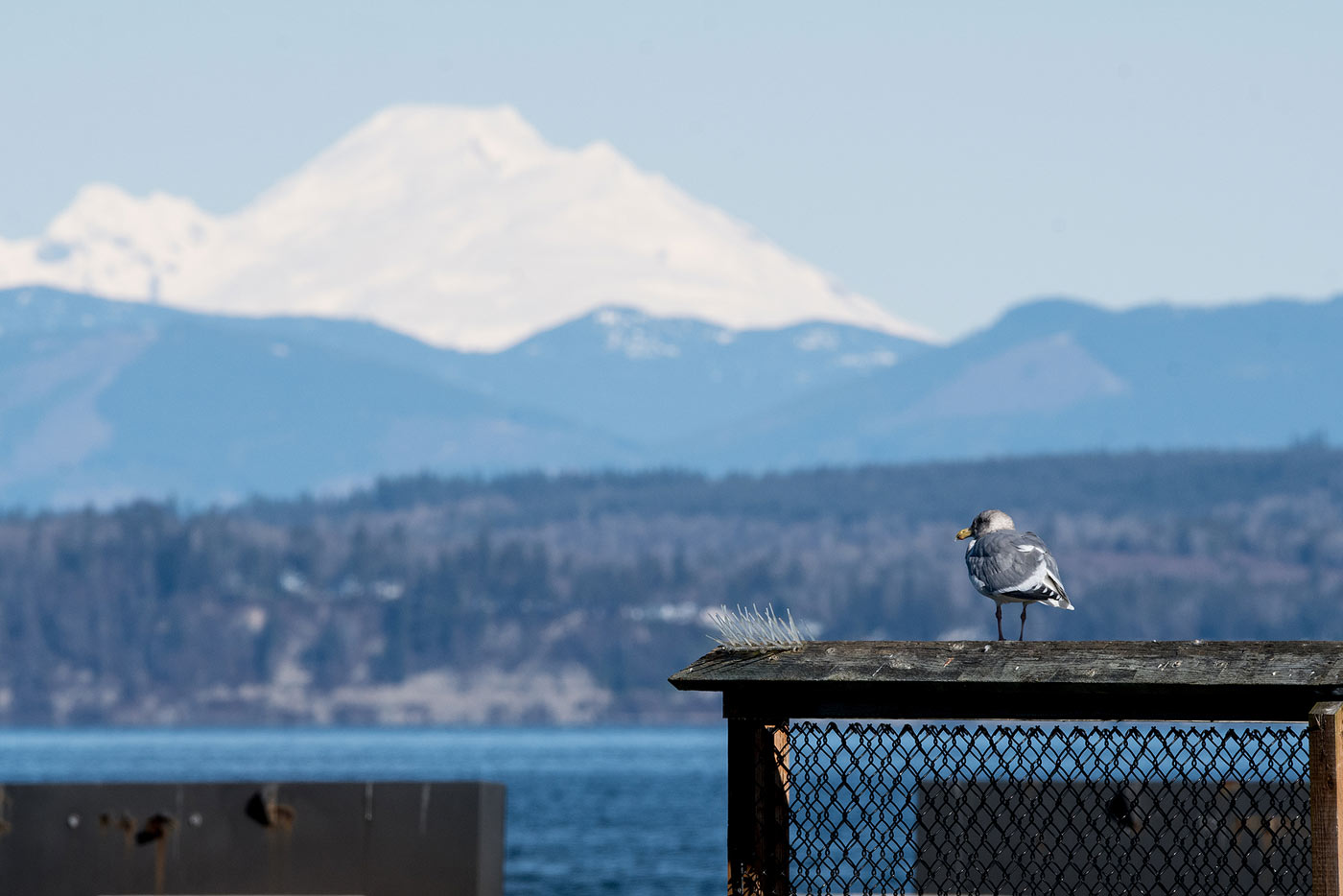 Everett Property Management