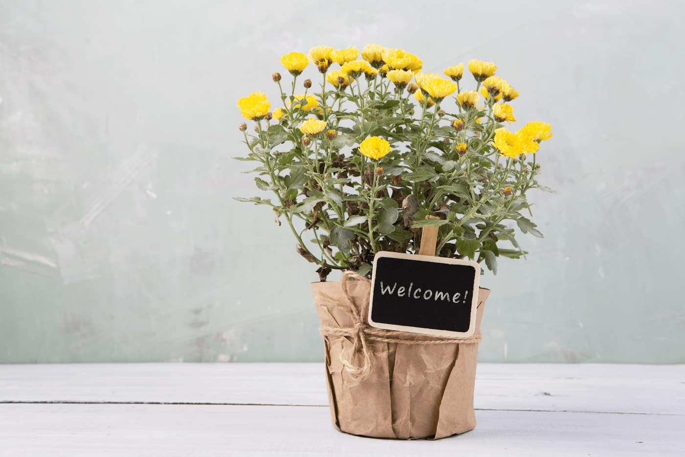 Tenant appreciation welcome back at rental properties
