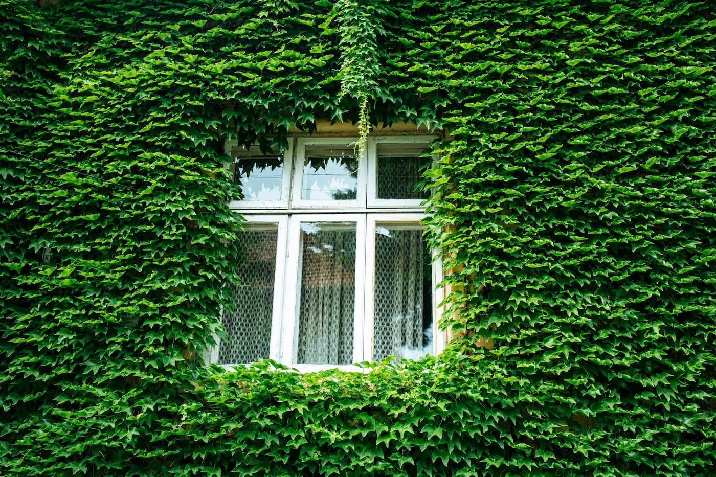 environmentally conscious fixes around your rental home