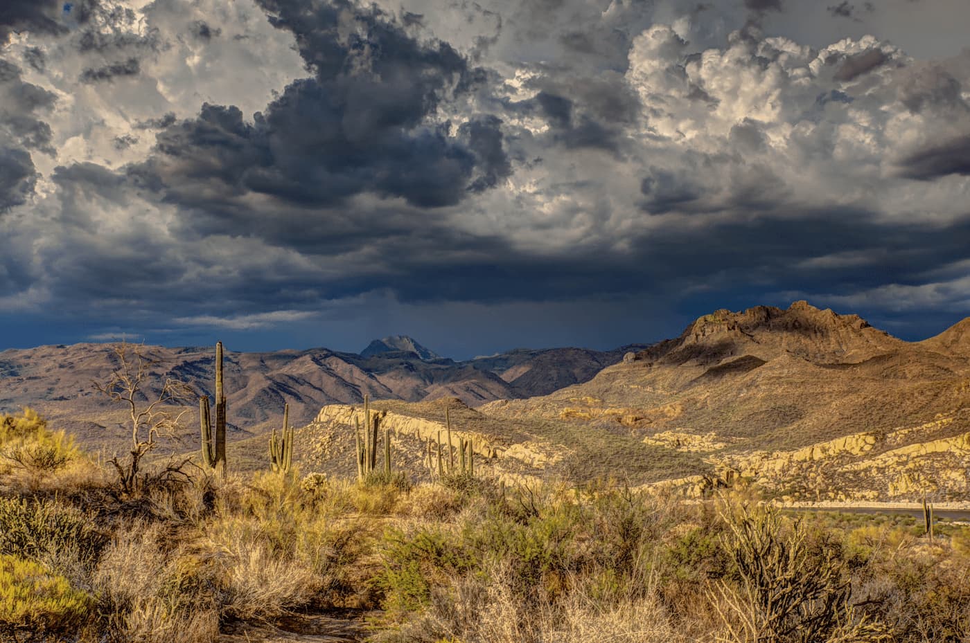 Arizona property management