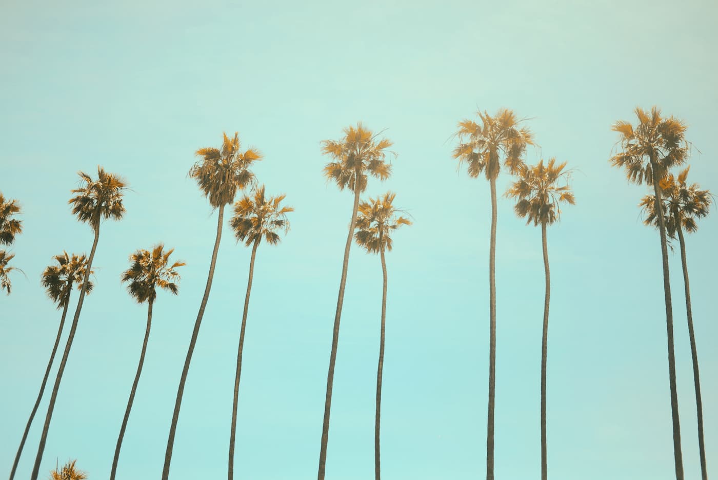 California property management