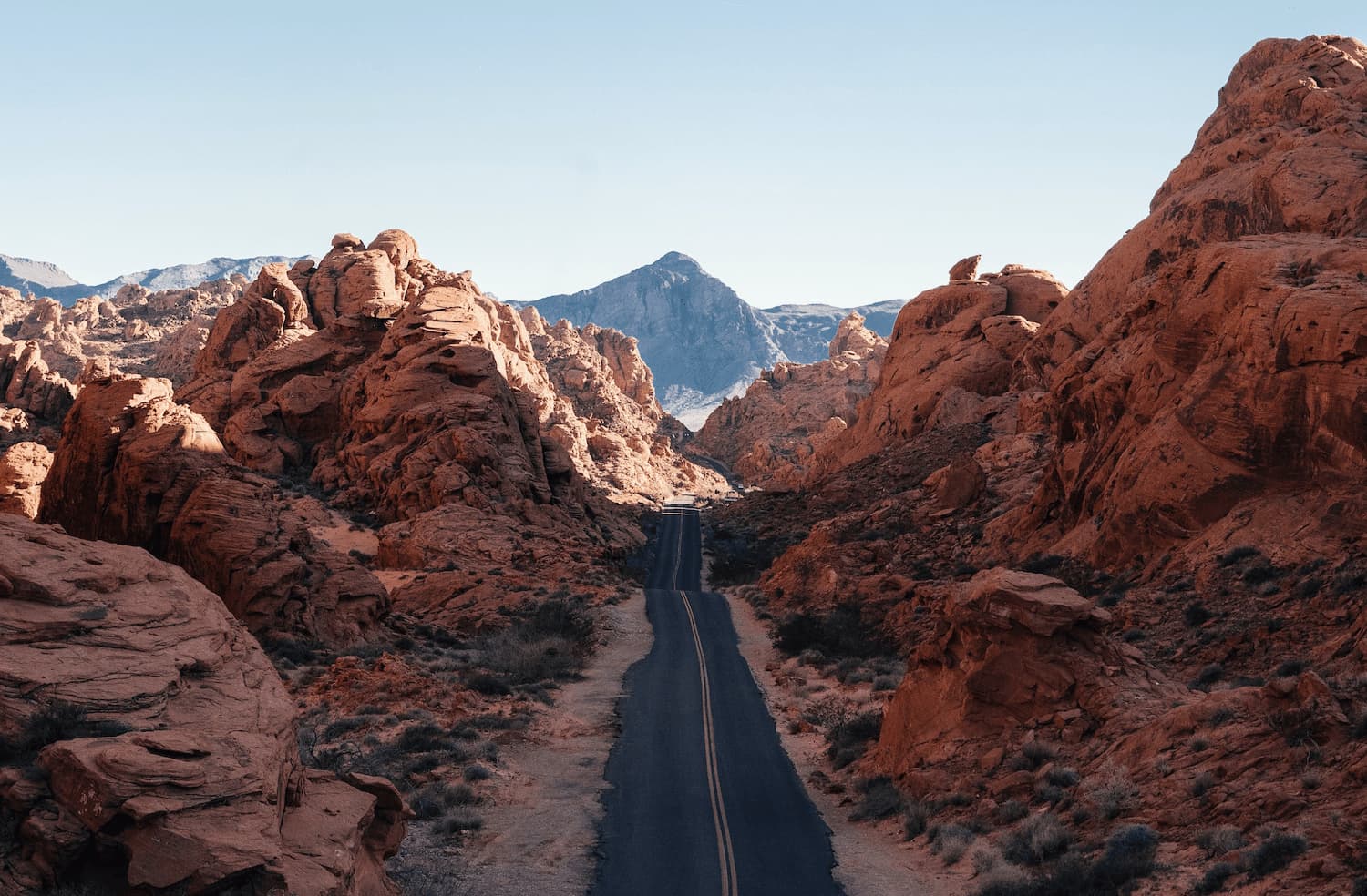 Nevada property management