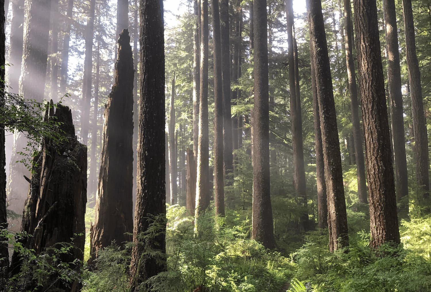 Oregon property management
