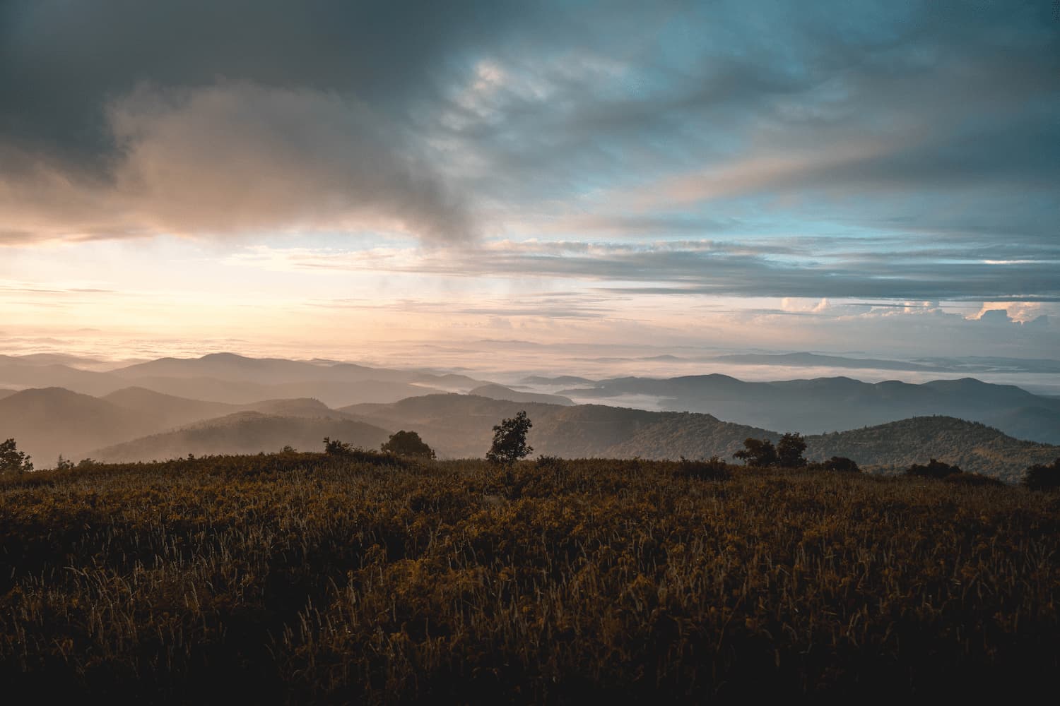 North Carolina property management