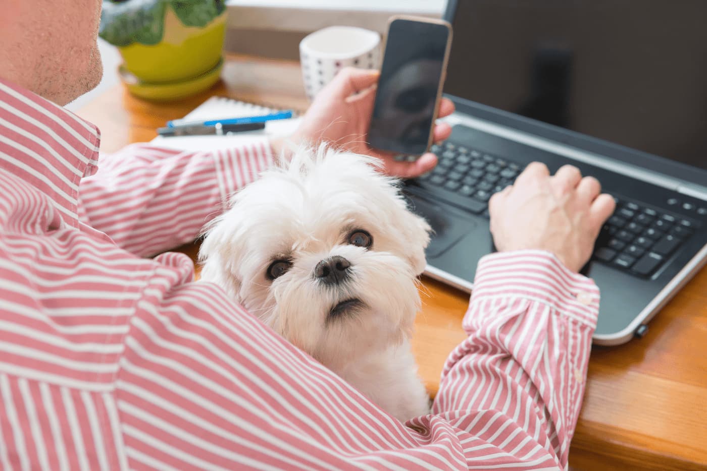Adapt your rental property to working from home