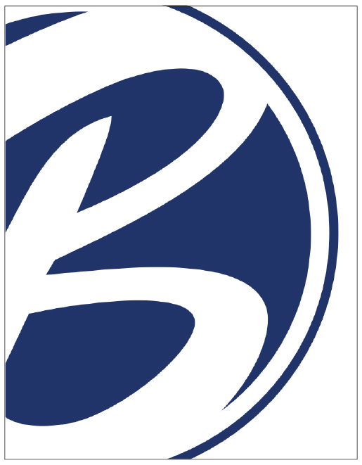 Who We Are Beltservice Corporation