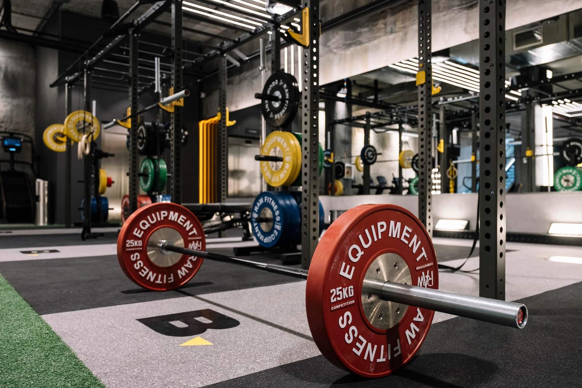 Gym Gallery Fitness Playground