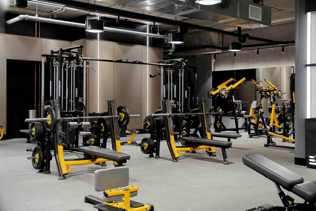 Gym Gallery Fitness Playground