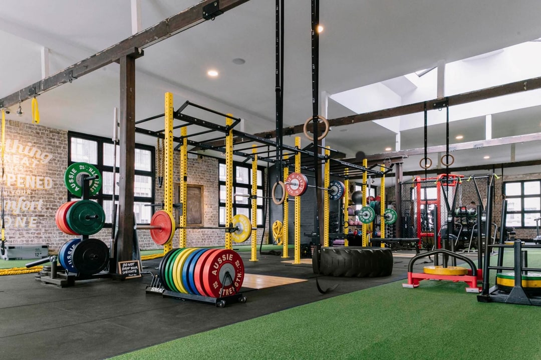 Gym Gallery Fitness Playground