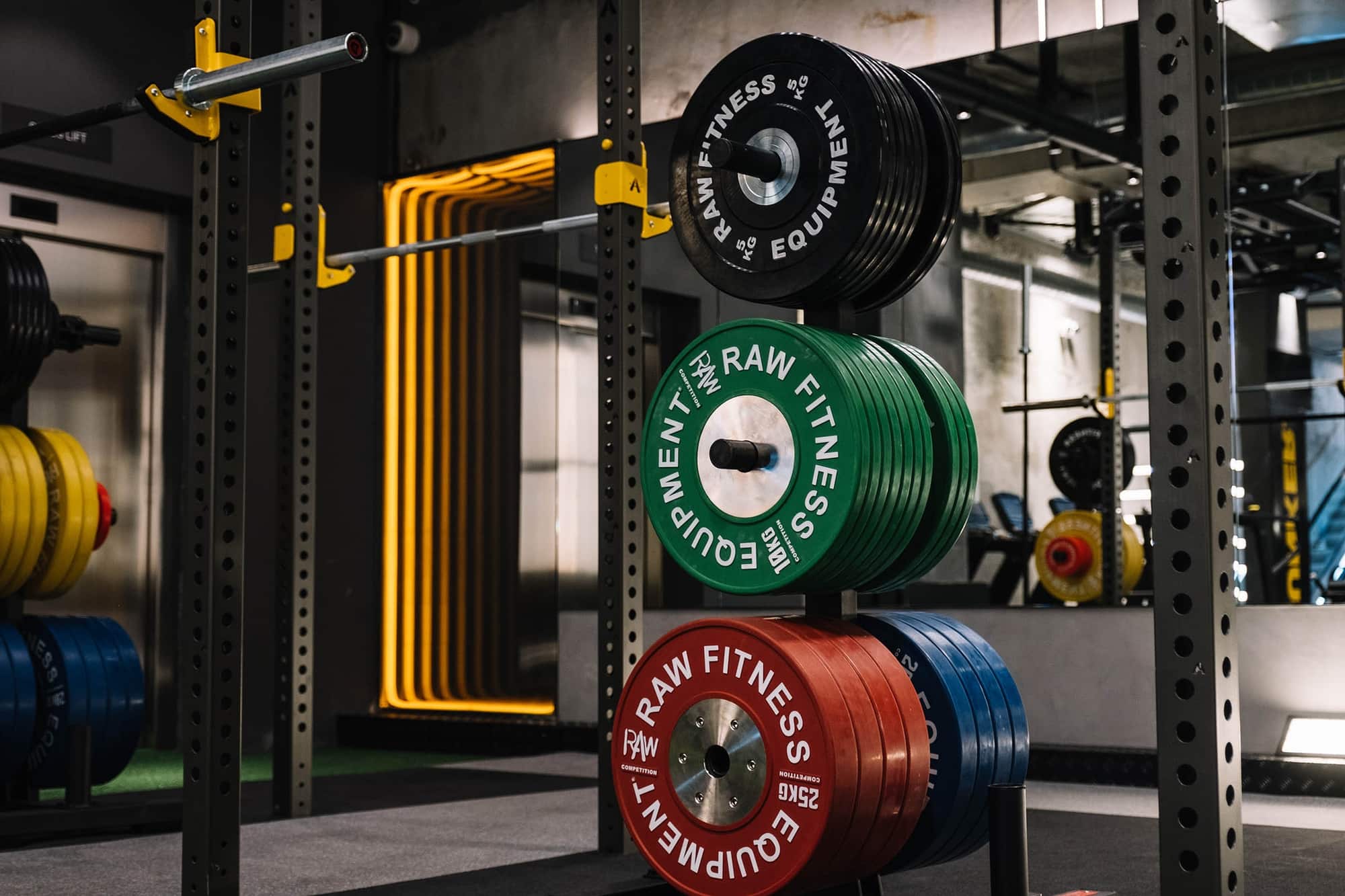 Gym Gallery Fitness Playground