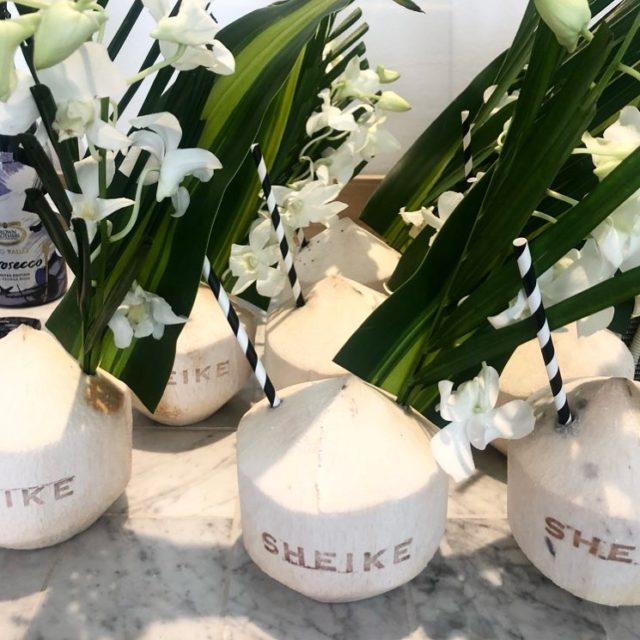 Sheike Branded Coconuts - Woofys