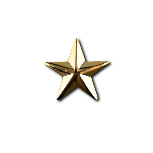 Gold Star Pin PinProsPlus